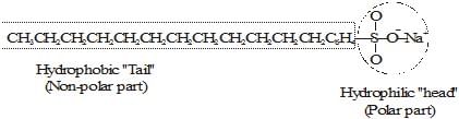 Carbon and its Compounds Class 10 Notes Science Chapter 4